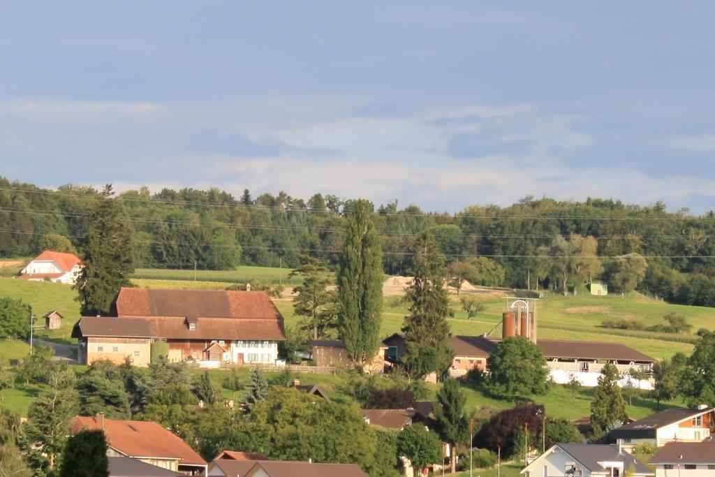 Hof Oberprehl Lägenhet Murten Exteriör bild